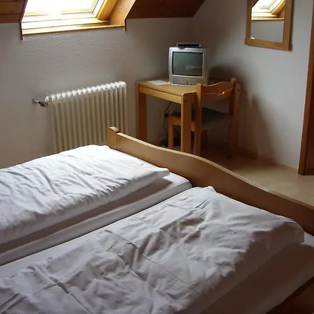 Guest house Gasthaus Zum Lamm 2*